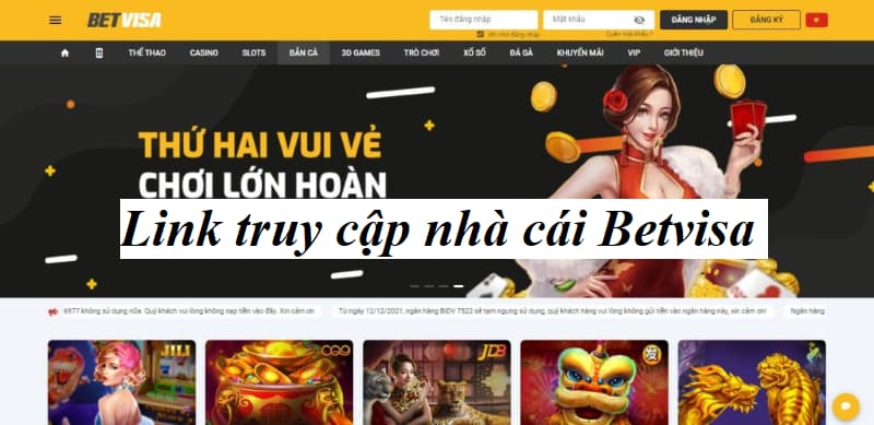 betvisa betvisa