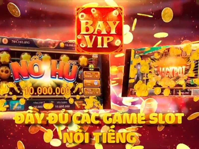 BayVip BayVip