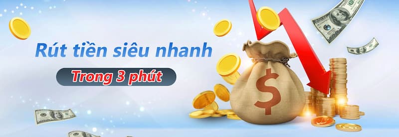 T8Bet T8Bet
