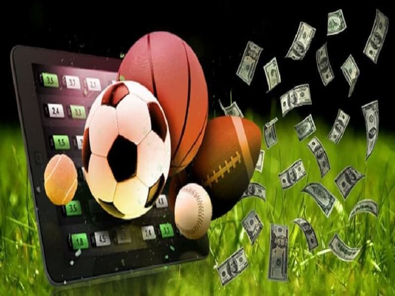 Bwin - Nhà cái cá độ uy tín, chuyên nghiệp