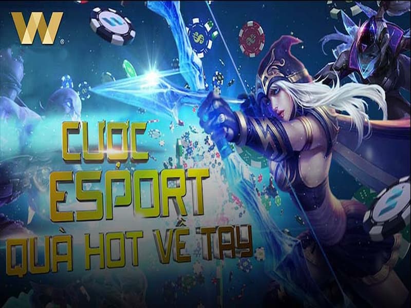 Cá độ bóng đá W88 không thể bỏ lỡ
